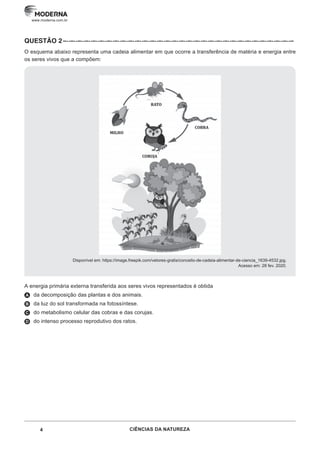 4 CIÊNCIAS DA NATUREZA
www.moderna.com.br
QUESTÃO 2–··–··–··–··–··–··–··–··–··–··–··–··–··–··–··–··–··–··–··–··–··–··–··–··–··–··–··–··–··–··–··–
O esquema abaixo representa uma cadeia alimentar em que ocorre a transferência de matéria e energia entre
os seres vivos que a compõem:
Disponível em: https://image.freepik.com/vetores-gratis/conceito-de-cadeia-alimentar-de-ciencia_1639-4532.jpg.
Acesso em: 28 fev. 2020.
A energia primária externa transferida aos seres vivos representados é obtida
A da decomposição das plantas e dos animais.
B da luz do sol transformada na fotossíntese.
C do metabolismo celular das cobras e das corujas.
D do intenso processo reprodutivo dos ratos.
 