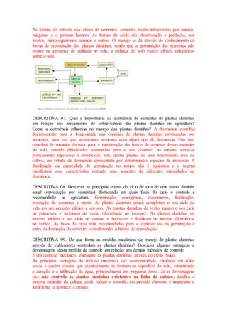 As formas de entrada são: chuva de sementes, sementes recém introduzidas por animais,
máquinas e o próprio homem. As formas de saída são: deterioração e predação, por
insetos, microorganismos, animais e outros. O manejo se dá através do conhecimento da
forma de reprodução das plantas daninhas, sendo que a germinação das sementes não
ocorre na presença de palhada no solo, a palhada do solo exerce efeitos alelopáticos
sobre o solo.
DESCRITIVA 07. Qual a importância da dormência de sementes de plantas daninhas
em relação aos mecanismos de sobrevivência das plantas daninhas na agricultura?
Como a dormência influencia no manejo das plantas daninhas? A dormência contribui
decisivamente para a longevidade das espécies de plantas daninhas propagadas por
sementes, uma vez que, apresentam sementes com algum tipo de dormência. Este fato
contribui de maneira decisiva para a manutenção do banco de semente destas espécies
no solo, criando dificuldades acentuadas para o seu controle, no entanto, torna-se
praticamente impossível a erradicação total destas plantas de uma determinada área de
cultivo, em virtude da dormência apresentada por determinadas espécies de invasoras. A
distribuição da capacidade de germinação no tempo não é equitativa e o vegetal
manifestará essa característica dotando suas sementes de diferentes intensidades de
dormência.
DESCRITIVA 08. Descreva as principais etapas do ciclo de vida de uma planta daninha
anual (reprodução por sementes) destacando em quais fases do ciclo o controle é
recomendado na agricultura. Germinação, emergência, crescimento, frutificação,
produção de sementes e morte. As plantas daninhas anuais completam o seu ciclo de
vida em um período inferior a um ano. As plantas daninhas de verão iniciam o seu ciclo
na primavera e terminam no verão (dormência no inverno). As plantas daninhas de
inverno iniciam o seu ciclo no outono e florescem e frutificam no inverno (dormência
no verão). As fases do ciclo mais recomendadas para o controle são na germinação e
antes da formação da semente, considerando o hábito de reprodução.
DESCRITIVA 09. De que forma as medidas mecânicas de manejo de plantas daninhas
através de cultivadores controlam as plantas daninhas? Descreva algumas vantagens e
desvantagens desta medida de controle em relação aos demais métodos de controle.
É um controle mecânico, eliminam as plantas daninhas através do efeito físico.
As principais vantagens do método mecânico são: economicidade, eficiência em solos
secos e quebra crostas que eventualmente se formam na superfície do solo, aumentando
a aeração e a infiltração da água, principalmente em pequenas áreas. Já as desvantagens
são: não controla as plantas daninhas existentes na linha da cultura; danifica o
sistema radicular da cultura; pode reduzir o estande; em período chuvoso, é inoperante e
ineficiente e favorece a erosão.
 
