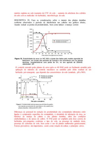 matéria orgânica no solo (aumento da CTC do solo – aumento da aderência dos colóides
do solo com as moléculas do herbicida), microbiologia do solo.
DESCRITIVA 20. Faça as considerações sobre o manejo das plantas daninhas
conforme observados o período de interferência nas culturas nos gráficos abaixo,
visando reduzir as perdas de produtividade, bem como indicar o manejo correto
Diferenças no potencial de redução de produtividade das comunidades infestantes estão
ligadas à composição específica da comunidade, à densidade de infestação da área, ao
histórico de manejo da cultura e das plantas daninhas, além das condições
edafoclimáticas e da época de cultivo. O PAI pode ser ampliado pela dose correta de
herbicidas pré-emrgentes conforme o tipo de solo, na presença de umidade deste,
presença de cobertura de solo, bem como o uso de plantas melhoradas geneticamente.
Fatores preventivos são importantes, assim como rotação de cultura e princípios ativos.
O controle exercido pelas plantas de arroz após os 40 DAE pode ser facilmente atendido pela
aplicação de métodos de controle mecânicos ou satisfeito pelo efeito residual de um
herbicida pré-emergente, que depende das características do solo (umidade, pH e MO).
 