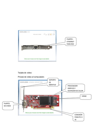 PUERTO -
                                                      ETHERNET
                                                      PARA RED




           Tarjeta de video:

           Provee de video al computador.
                                            SOPORTE
                                            DE
                                            MONTAJE
                                                       PROCESADOR
                                                       GRÁFICO Y
                                                       DISIPADOR DE CALOR


                                                                          VRAM



PUERTO
DE VIDEO




                                                                 CONEXIÓN
                                                                 PARA PCI X
                                                                 16
 