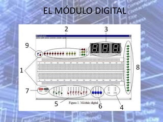 EL MÓDULO DIGITAL
 