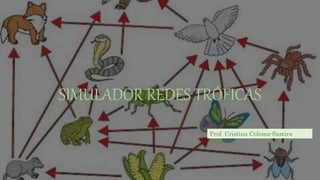 SIMULADOR REDES TRÓFICAS
Prof. Cristina Coloma-Samira
Paredes
 