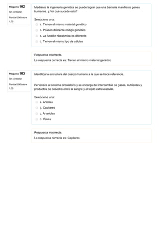 Pregunta 102
Sin contestar
Puntúa 0,00 sobre
1,00
Pregunta 103
Sin contestar
Puntúa 0,00 sobre
1,00
Mediante la ingeniería genética se puede lograr que una bacteria manifieste genes
humanos. ¿Por qué sucede esto?
Seleccione una:
a. Tienen el mismo material genético
b. Poseen diferente código genético
c. La función ribosómica es diferente
d. Tienen el mismo tipo de células
Respuesta incorrecta.
La respuesta correcta es: Tienen el mismo material genético
Identifica la estructura del cuerpo humano a la que se hace referencia.
Pertenece al sistema circulatorio y se encarga del intercambio de gases, nutrientes y
productos de desecho entre la sangre y el tejido extravascular.
Seleccione una:
a. Arterias
b. Capilares
c. Arteriolas
d. Venas
Respuesta incorrecta.
La respuesta correcta es: Capilares
 