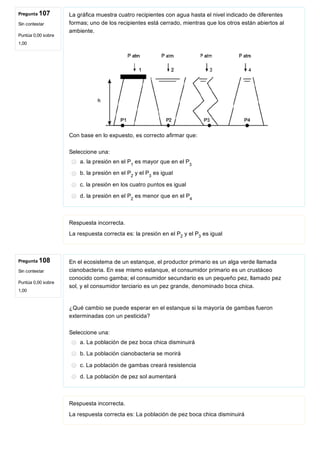 Pregunta 107
Sin contestar
Puntúa 0,00 sobre
1,00
Pregunta 108
Sin contestar
Puntúa 0,00 sobre
1,00
La gráfica muestra cuatro recipientes con agua hasta el nivel indicado de diferentes
formas; uno de los recipientes está cerrado, mientras que los otros están abiertos al
ambiente.
 
Con base en lo expuesto, es correcto afirmar que:
Seleccione una:
a. la presión en el P  es mayor que en el P
b. la presión en el P  y el P  es igual
c. la presión en los cuatro puntos es igual
d. la presión en el P  es menor que en el P
Respuesta incorrecta.
La respuesta correcta es: la presión en el P  y el P  es igual
En el ecosistema de un estanque, el productor primario es un alga verde llamada
cianobacteria. En ese mismo estanque, el consumidor primario es un crustáceo
conocido como gamba; el consumidor secundario es un pequeño pez, llamado pez
sol, y el consumidor terciario es un pez grande, denominado boca chica.
¿Qué cambio se puede esperar en el estanque si la mayoría de gambas fueron
exterminadas con un pesticida?
Seleccione una:
a. La población de pez boca chica disminuirá
b. La población cianobacteria se morirá
c. La población de gambas creará resistencia
d. La población de pez sol aumentará
Respuesta incorrecta.
La respuesta correcta es: La población de pez boca chica disminuirá
1 3
2 3
2 4
2 3
 