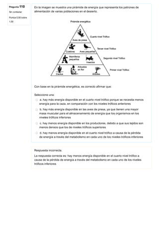 Pregunta 110
Sin contestar
Puntúa 0,00 sobre
1,00
En la imagen se muestra una pirámide de energía que representa los patrones de
alimentación de varias poblaciones en el desierto.
 
Con base en la pirámide energética, es correcto afirmar que:
Seleccione una:
a. hay más energía disponible en el cuarto nivel trófico porque se necesita menos
energía para la caza, en comparación con los niveles tróficos anteriores
b. hay más energía disponible en las aves de presa, ya que tienen una mayor
masa muscular para el almacenamiento de energía que los organismos en los
niveles tróficos inferiores
c. hay menos energía disponible en los productores, debido a que sus tejidos son
menos densos que los de niveles tróficos superiores
d. hay menos energía disponible en el cuarto nivel trófico a causa de la pérdida
de energía a través del metabolismo en cada uno de los niveles tróficos inferiores
Respuesta incorrecta.
La respuesta correcta es: hay menos energía disponible en el cuarto nivel trófico a
causa de la pérdida de energía a través del metabolismo en cada uno de los niveles
tróficos inferiores
 