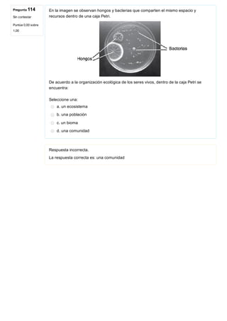 Pregunta 114
Sin contestar
Puntúa 0,00 sobre
1,00
En la imagen se observan hongos y bacterias que comparten el mismo espacio y
recursos dentro de una caja Petri.
 
De acuerdo a la organización ecológica de los seres vivos, dentro de la caja Petri se
encuentra:
Seleccione una:
a. un ecosistema
b. una población
c. un bioma
d. una comunidad
Respuesta incorrecta.
La respuesta correcta es: una comunidad
 