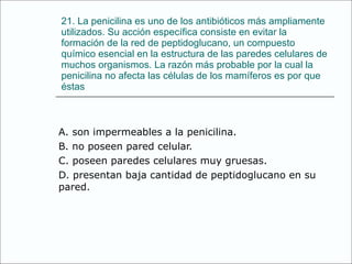 21. La penicilina es uno de los antibióticos más ampliamente utilizados. Su acción específica consiste en evitar la formación de la red de peptidoglucano, un compuesto químico esencial en la estructura de las paredes celulares de muchos organismos. La razón más probable por la cual la penicilina no afecta las células de los mamíferos es por que éstas A. son impermeables a la penicilina. B. no poseen pared celular. C. poseen paredes celulares muy gruesas. D. presentan baja cantidad de peptidoglucano en su pared. 