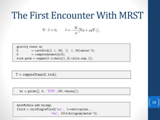 The First Encounter With MRST
19
 