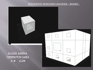 UNIVERSITE MOHAMED KHAIDER – BISKRE - 
ALALEI AMINA. 
DJEBNOUN SARA 
S: B G:08 
 