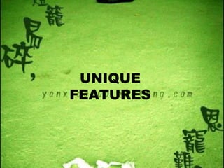 UNIQUE FEATURES 