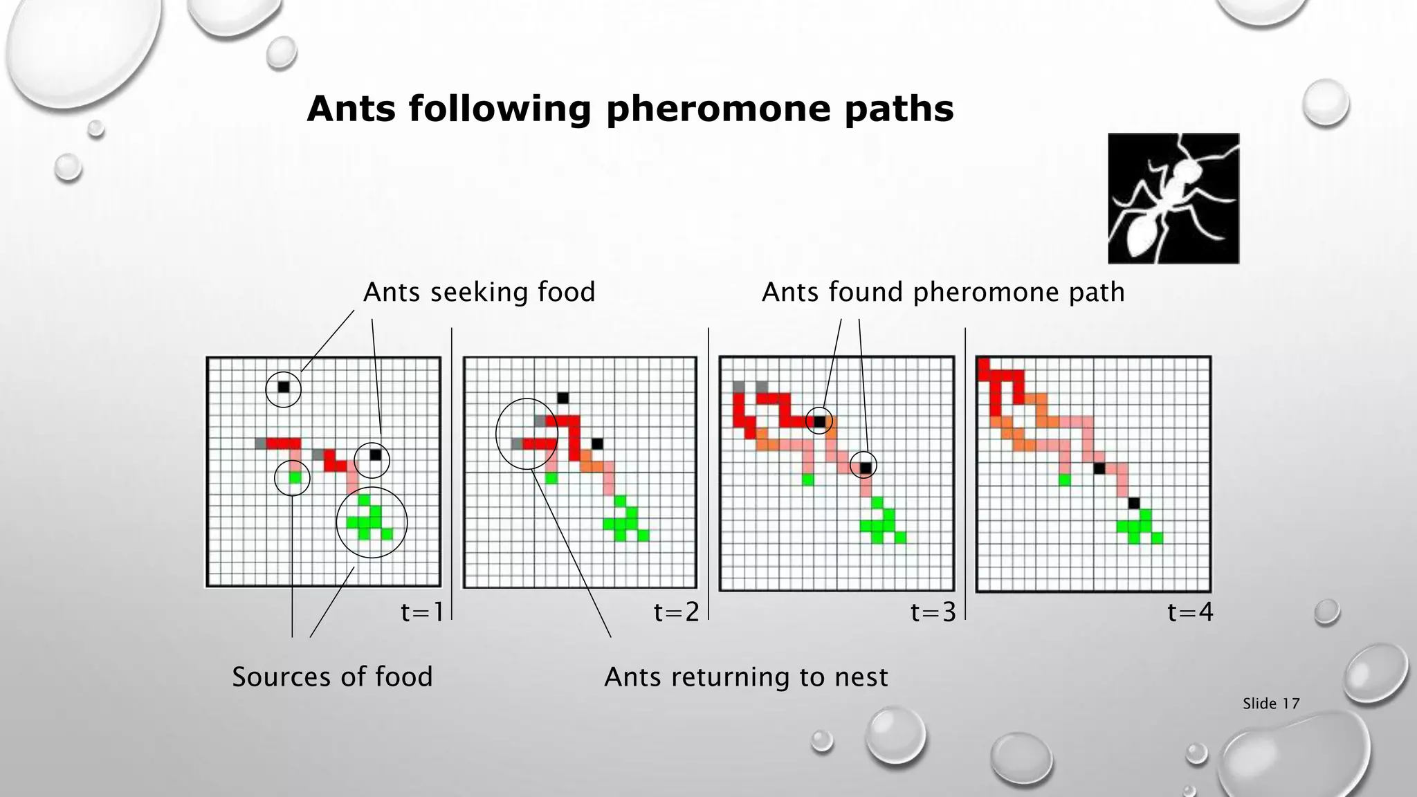 Slide 17
Sources of food
Ants seeking food
Ants returning to nest
Ants found pheromone path
Ants following pheromone paths
t=1 t=2 t=3 t=4
 