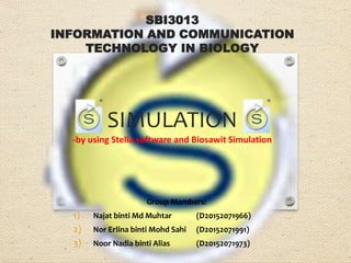 SBI3013
INFORMATION AND COMMUNICATION
TECHNOLOGY IN BIOLOGY
SIMULATION
-by using Stella software and Biosawit Simulation
Group Members:
1) Najat binti Md Muhtar (D20152071966)
2) Nor Erlina binti Mohd Sahi (D20152071991)
3) Noor Nadia binti Alias (D20152071973)
 