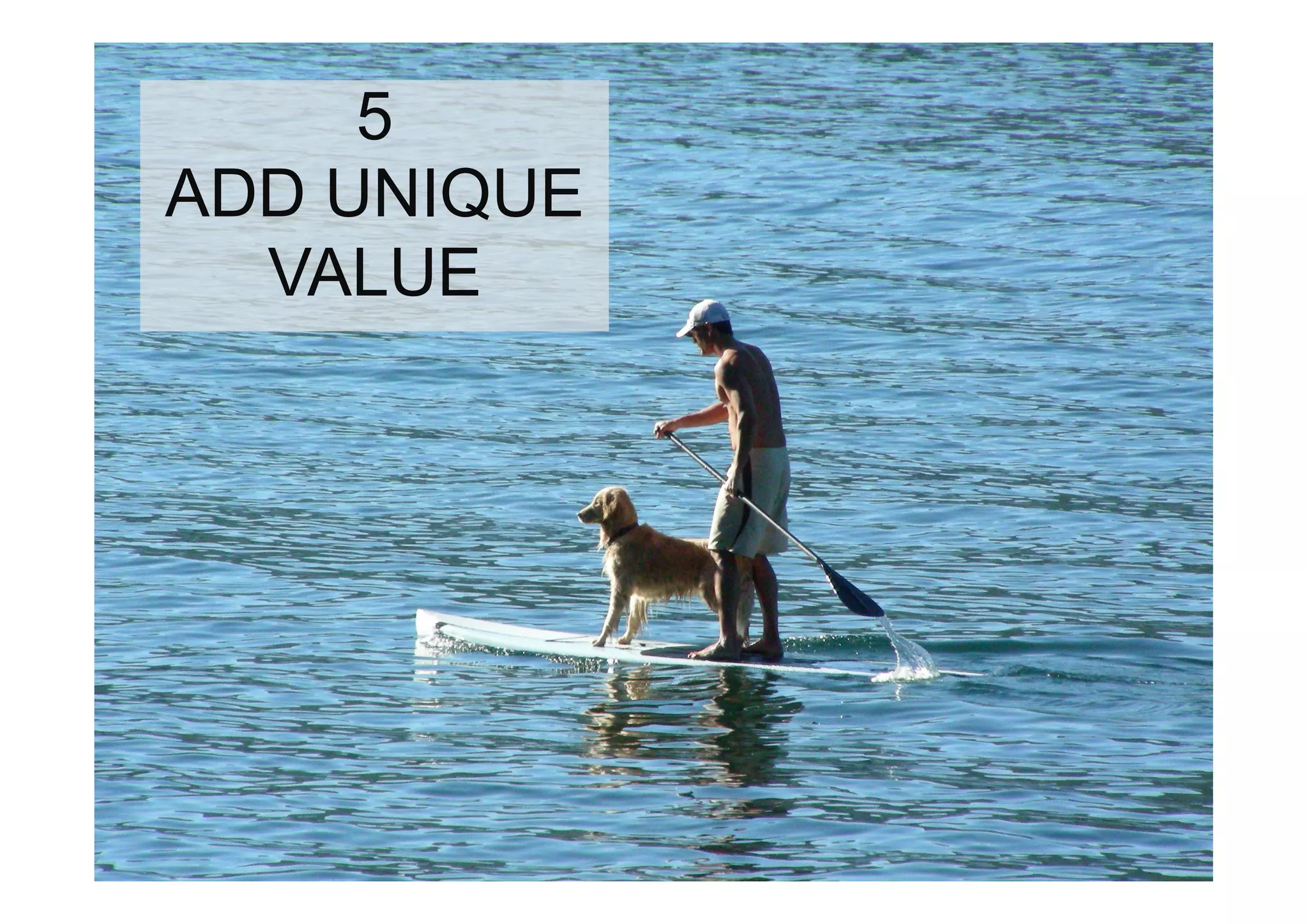 5
     5
ADD UNIQUE
  VALUE
ADD UNIQUE
  VALUE
 