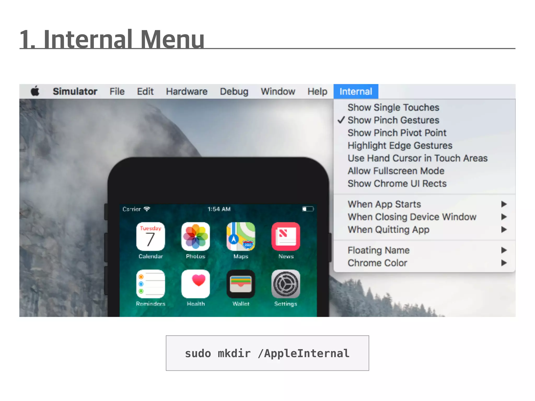 sudo mkdir /AppleInternal
 