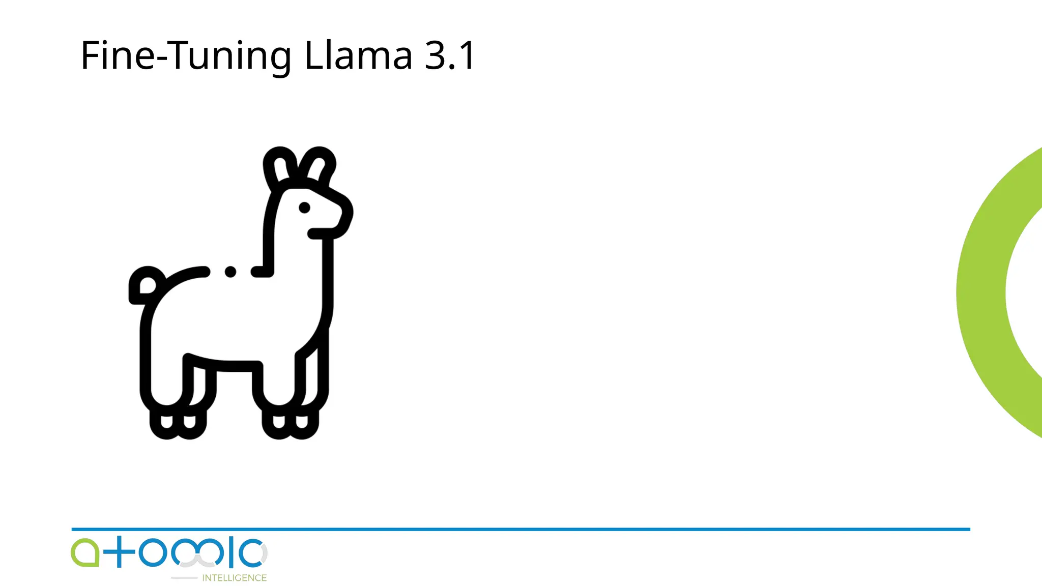Fine-Tuning Llama 3.1
 