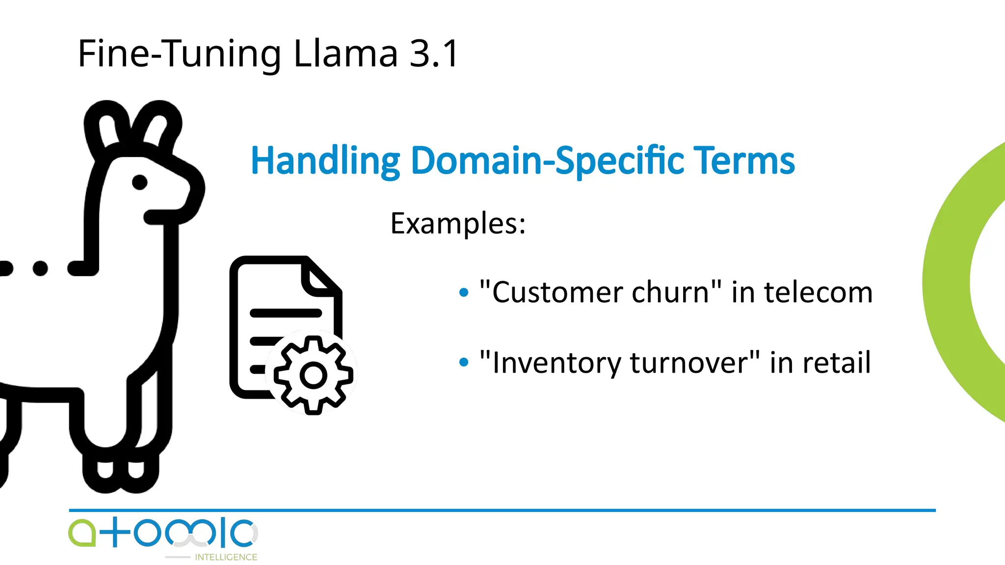 Fine-Tuning Llama 3.1
Handling Domain-Specific Terms
"Customer churn" in telecom
"Inventory turnover" in retail
Examples:
 