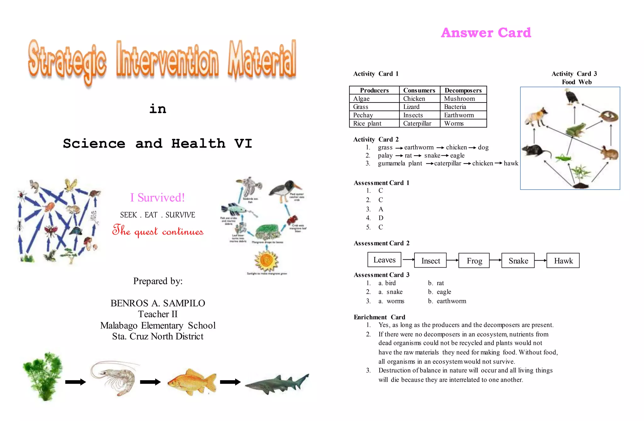 Food Chain /Food Web | DOCX, image size:2048x1339