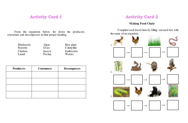 List Of Producers In A Food Web List Of Producers In A Food Web