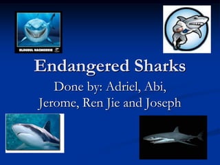 Endangered Sharks
   Done by: Adriel, Abi,
Jerome, Ren Jie and Joseph
 