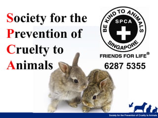 Society for the
Prevention of
Cruelty to
Animals           6287 5355
 