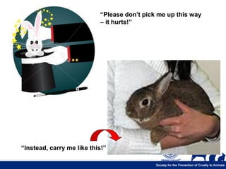 “Please don’t pick me up this way
                           – it hurts!”




“Instead, carry me like this!”
 