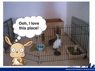 Ooh, I love
this place!
 