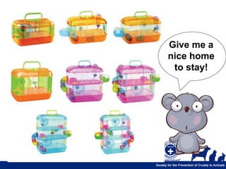 Give me a
nice home
 to stay!
 