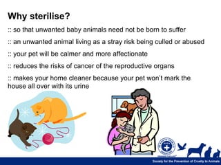 Why sterilise?
:: so that unwanted baby animals need not be born to suffer
:: an unwanted animal living as a stray risk being culled or abused
:: your pet will be calmer and more affectionate
:: reduces the risks of cancer of the reproductive organs
:: makes your home cleaner because your pet won’t mark the
house all over with its urine
 