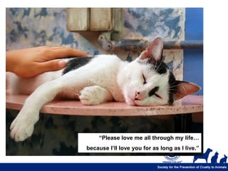 “Please love me all through my life…
because I’ll love you for as long as I live.”
 