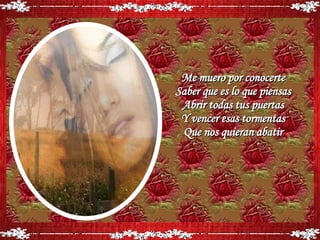 Sin Miedo A Nada   (Alex Ubago)