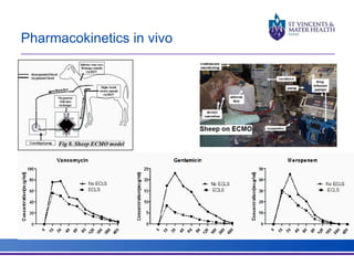Pharmacokinetics in vivo 
 