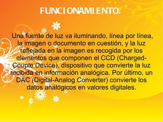 FUNCIONAMIENTO. Una fuente de luz va iluminando, línea por línea, la imagen o documento en cuestión, y la luz reflejada en la imagen es recogida por los elementos que componen el CCD (Charged-Couple Device), dispositivo que convierte la luz recibida en información analógica. Por último, un DAC (Digital-Analog Converter) convierte los datos analógicos en valores digitales. 