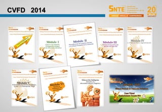 CVFD 2014
 