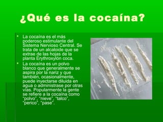 ¿Qué es la cocaína?
 La cocaína es el más
poderoso estimulante del
Sistema Nervioso Central. Se
trata de un alcaloide que se
extrae de las hojas de la
planta Erythroxylón coca.
 La cocaína es un polvo
blanco que generalmente se
aspira por la nariz y que
también, ocasionalmente,
puede inyectarse diluida en
agua o administrase por otras
vías. Popularmente la gente
se refiere a la cocaína como
“polvo”, “nieve”, “talco”,
“perico”, “pase”.
 