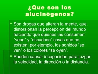 ¿Que son los
alucinógenos?
 Son drogas que alteran la mente, que
distorsionan la percepción del mundo
haciendo que quienes las consumen
“vean” y “escuchen” cosas que no
existen; por ejemplo, los sonidos “se
ven” o los colores “se oyen”.
 Pueden causar incapacidad para juzgar
la velocidad, la dirección o la distancia.
 