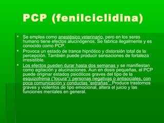 PCP (fenilciclidina)
 Se emplea como anestésico veterinario, pero en los seres
humano tiene efectos alucinógenos. Se fabrica ilegalmente y es
conocido como PCP.
 Provoca un estado de trance hipnótico y distorsión total de la
percepción. También puede producir sensaciones de fortaleza
irresistible.
 Los efectos pueden durar hasta dos semanas y se manifiestan
como agitación y alucinaciones. Aun en dosis pequeñas, el PCP
puede originar estados psicóticos graves del tipo de la
esquizofrenia (”locura”): personas negativas o antisociales, con
poca comunicación y conductas “extrañas”. Produce trastornos
graves y violentos de tipo emocional, altera el juicio y las
funciones mentales en general.
 