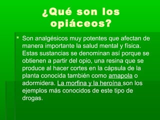 ¿Qué son los
opiáceos?
 Son analgésicos muy potentes que afectan de
manera importante la salud mental y física.
Estas sustancias se denominan así porque se
obtienen a partir del opio, una resina que se
produce al hacer cortes en la cápsula de la
planta conocida también como amapola o
adormidera. La morfina y la heroína son los
ejemplos más conocidos de este tipo de
drogas.
 