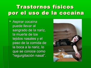 Trastornos físicosTrastornos físicos
por el uso de la cocaínapor el uso de la cocaína
 Aspirar cocaínaAspirar cocaína
puede llevar alpuede llevar al
sangrado de la nariz,sangrado de la nariz,
la muerte de losla muerte de los
tejidos nasales y eltejidos nasales y el
paso de la comida depaso de la comida de
la boca a la nariz, lola boca a la nariz, lo
que se conoce comoque se conoce como
"regurgitación nasal”."regurgitación nasal”.
 