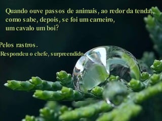 Pelos rastros. Respondeu o chefe, surpreendido. Quando ouve passos de animais, ao redor da tenda,  como sabe, depois, se foi um carneiro,  um cavalo um boi?  