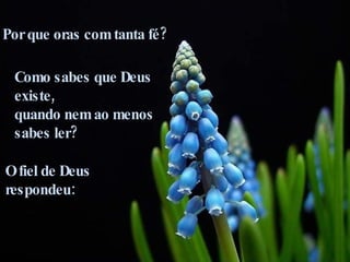 Por que oras com tanta fé? Como sabes que Deus existe,  quando nem ao menos  sabes ler? O fiel de Deus  respondeu: 