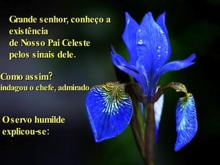 Grande senhor, conheço a existência  de Nosso Pai Celeste  pelos sinais dele. Como assim?  indagou o chefe, admirado. O servo humilde  explicou-se: 