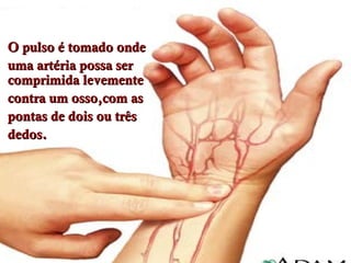 O pulso é tomado ondeO pulso é tomado onde
uma artéria possa seruma artéria possa ser
comprimida levementecomprimida levemente
contra um osso,com ascontra um osso,com as
pontas de dois ou trêspontas de dois ou três
dedos.dedos.
 