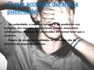 O que acontece durante a
puberdade?
 Na puberdade, o esperma começa a ser produzido nos
testículos dos rapazes. As hormonas sexuais masculinas
(androgénios) também são produzidas no mesmo local que o
esperma.
 Depois de crescerem totalidade, os testículos são do
tamanho de pequenas ameixas.
 