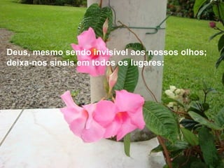 Deus, mesmo sendo invisível aos nossos olhos; deixa-nos sinais em todos os lugares:  