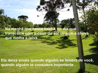 Na manhã que nasce calma, no dia que transcorre com o calor do sol ou com a chuva que molha a relva... Ele deixa sinais quando alguém se lembra de você, quando alguém te considera importante... 