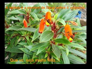 Que vc  seja muito feliz...! A beleza é a sombra de Deus sobre o universo . 