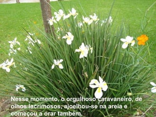 Nesse momento, o orgulhoso caravaneiro, de olhos lacrimosos, ajoelhou-se na areia e começou a orar também. 