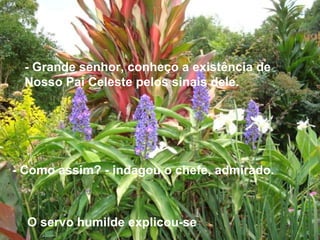 - Grande senhor, conheço a existência de Nosso Pai Celeste pelos sinais dele. - Como assim? - indagou o chefe, admirado. O servo humilde explicou-se : 