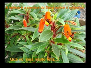 Que vc seja muito feliz...!
A beleza é a sombra de Deus sobre o universo.
 