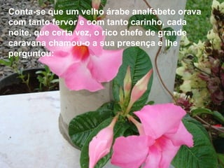 Conta-se que um velho árabe analfabeto orava
com tanto fervor e com tanto carinho, cada
noite, que certa vez, o rico chefe de grande
caravana chamou-o a sua presença e lhe
perguntou:
 